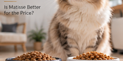 Farmina Matisse vs Royal Canin Cat Food (2026) — Is Matisse Better for the Price?