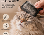 Best Cat & Dog Grooming Brushes in India (2026) — De-Shedding & Mat Removal