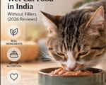 Best Budget Wet Cat Food in India Without Fillers (2026 Reviews)